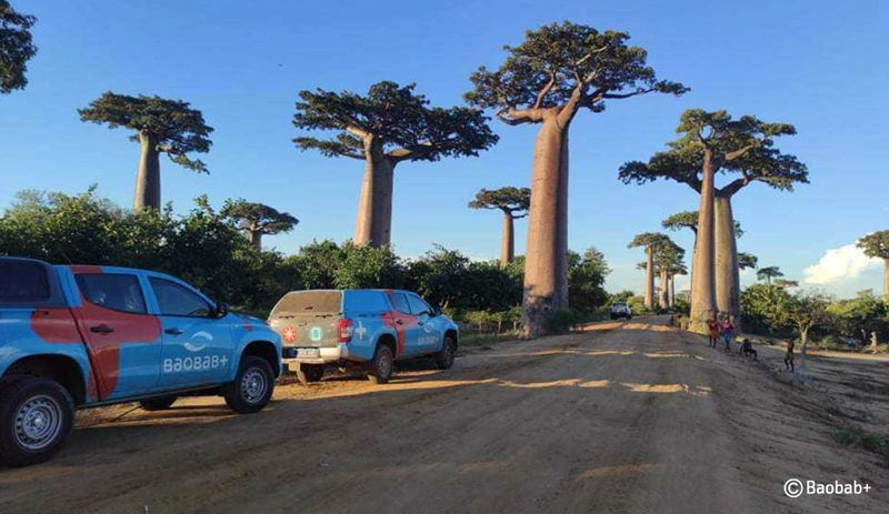 r608_9_baobab-plus_madagascar-2.jpg